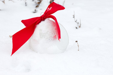 Similar image 20060128