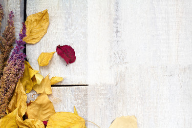 Similar image 20061236