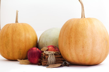 Similar image 20061753