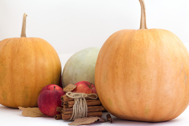 Similar image 20061881