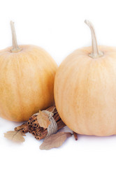 Similar image 20062009