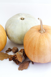 Similar image 20062064