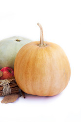 Similar image 20062082