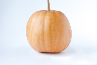 Similar image 20062204