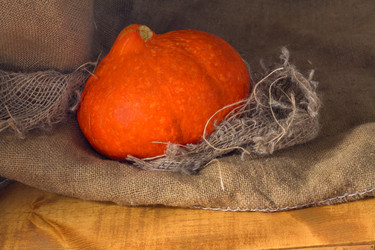 Similar image 20076826