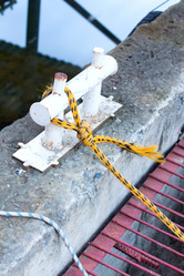 Similar image 20107999