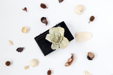 Similar image 20108004