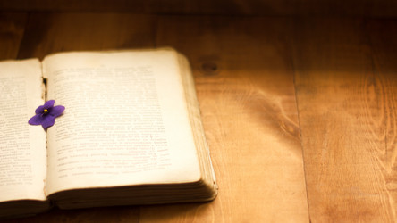 Similar image 20060152