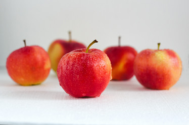 Similar image 20060758