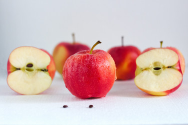 Similar image 20060765