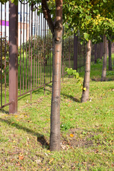 Similar image 20061591