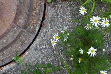 Similar image 20061650