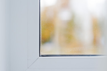 Similar image 20062021