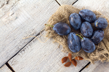 Similar image 20062228