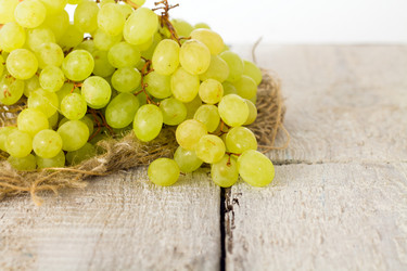 Similar image 20076937