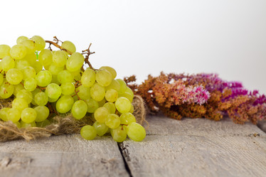 Similar image 20077093