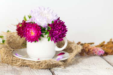 Similar image 20077096