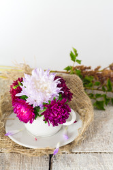 Similar image 20077237