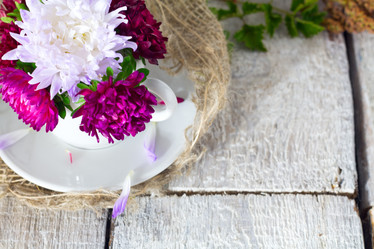 Similar image 20082020