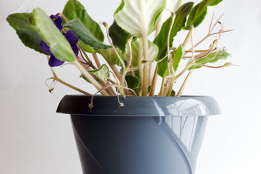 Similar image 20108115