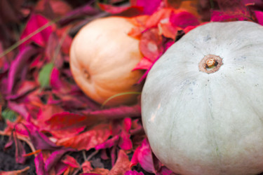 Similar image 20060810