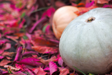 Similar image 20060925