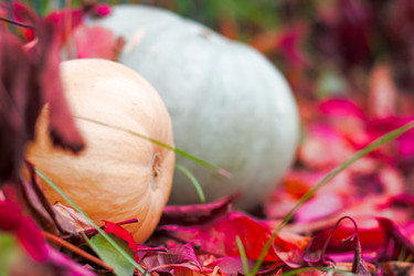 Similar image 20061074