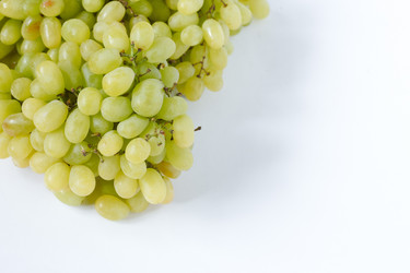 Similar image 20061077