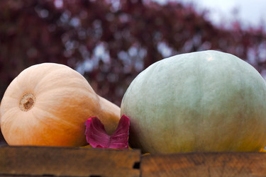 Similar image 20061588