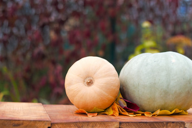 Similar image 20061613