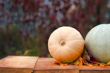 Similar image 20061646