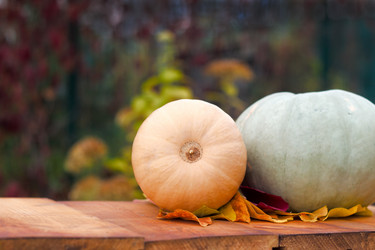 Similar image 20061949