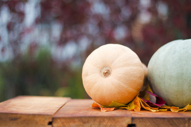 Similar image 20062219