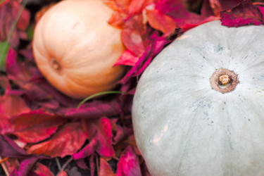 Similar image 20062226