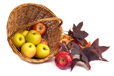 Similar image 19947066