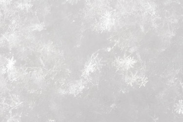 Similar image 19941593