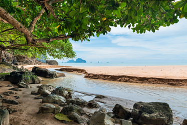 Similar image 19941629