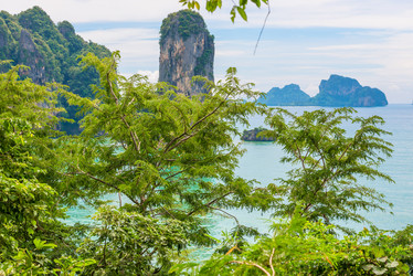 Similar image 19941636