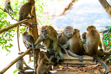 Similar image 19941671