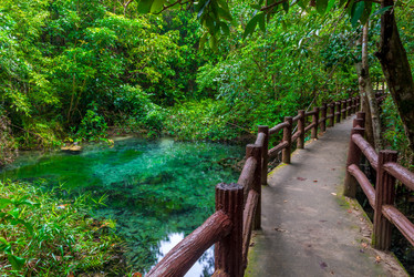 Similar image 19941717