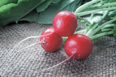 Similar image 20161066