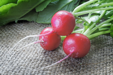 Similar image 20161098