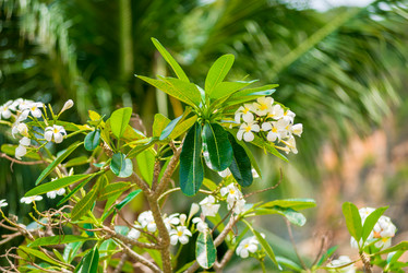 Similar image 20070803