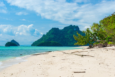 Similar image 20070811