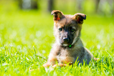 Similar image 20070817