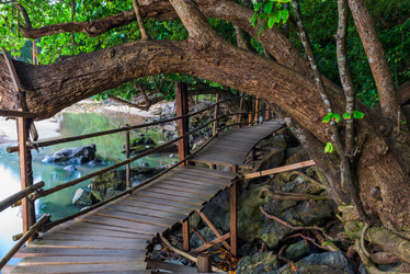 Similar image 20070836