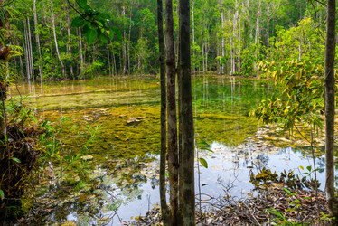 Similar image 20070842