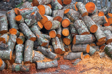 Similar image 19945441