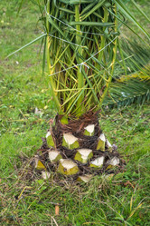 Similar image 19945444