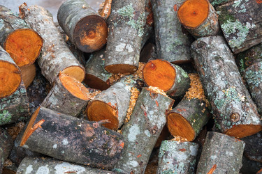 Similar image 19946526